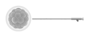 Baby Center